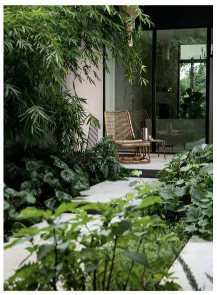 Courtyard — lush planting, relaxed seating, indoor-outdoor flow